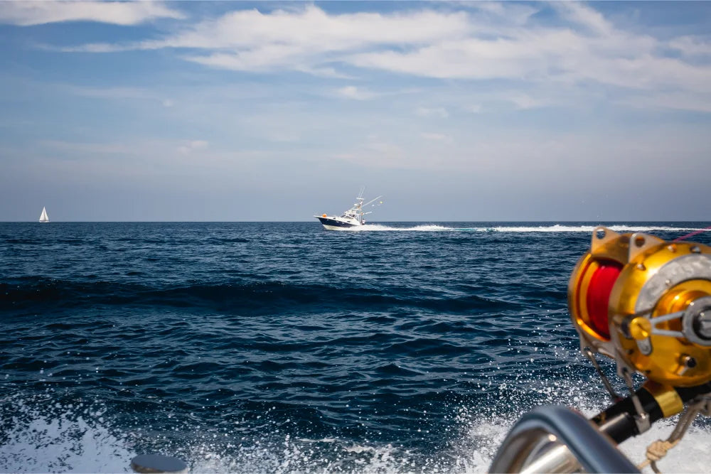 Aliments des Marins (lyophilisés et autres à essayer)